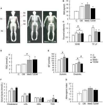 Systemic Factors During Metabolic Disease Progression Contribute to the <mark class="highlighted">Functional Decline</mark> of Adipose Tissue-Derived Mesenchymal Stem Cells in Reproductive Aged Females